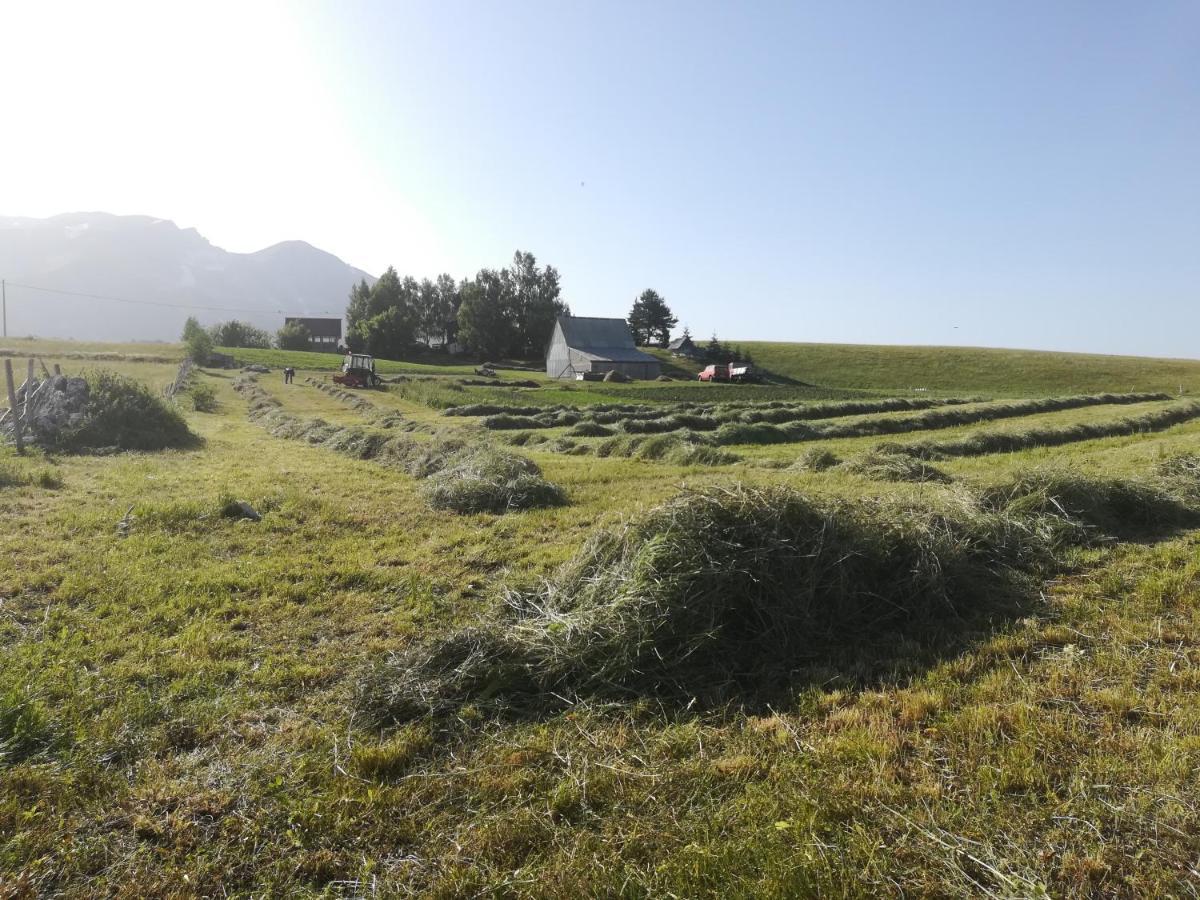 Organic Family Farm Žabljak Exterior foto