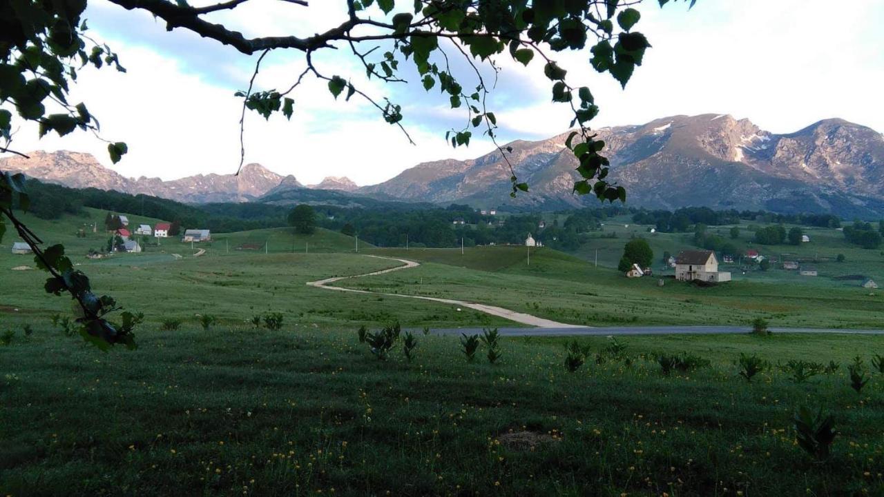 Organic Family Farm Žabljak Exterior foto